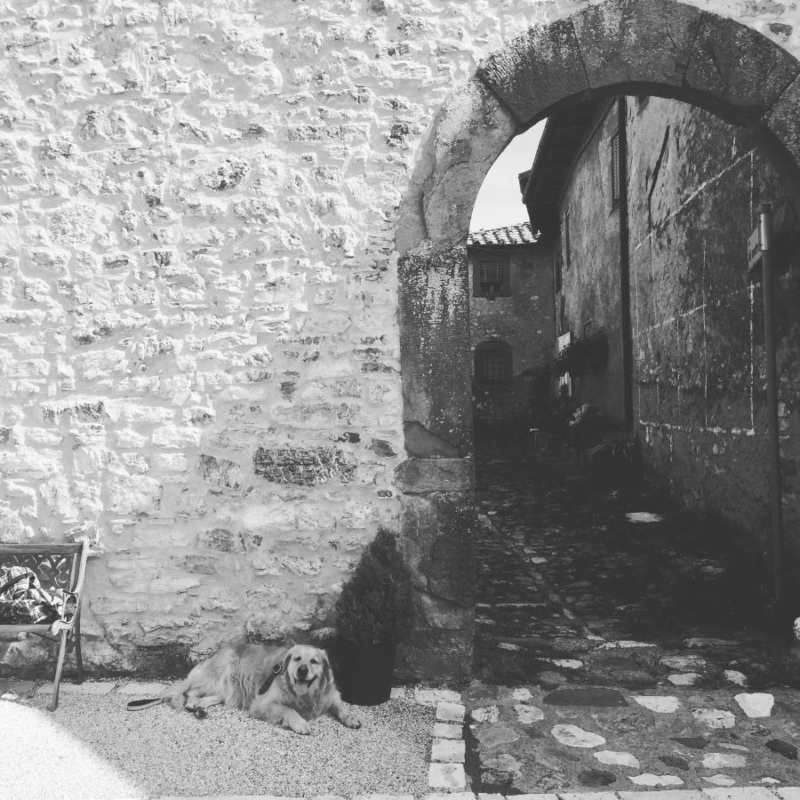 La Difesa Daire San Romano  Dış mekan fotoğraf