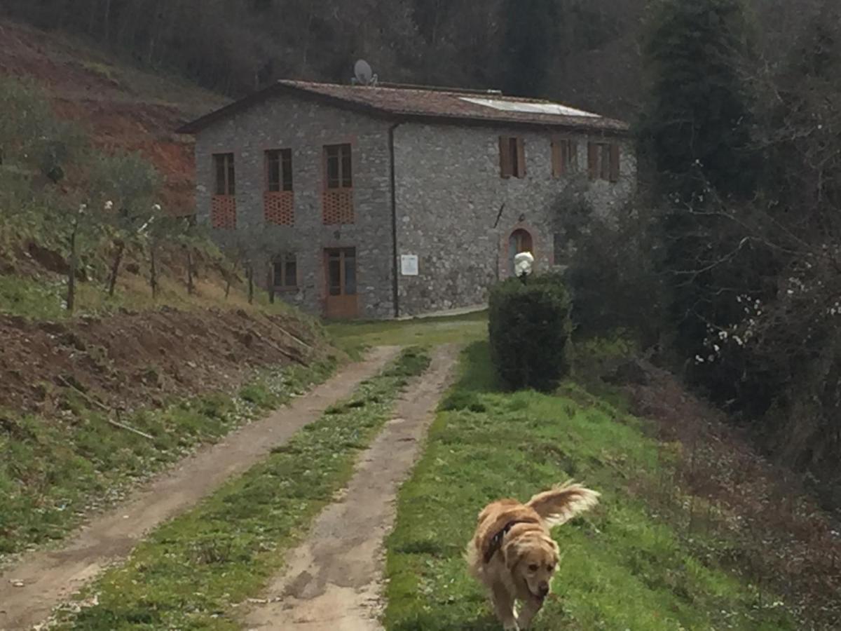 La Difesa Daire San Romano  Dış mekan fotoğraf